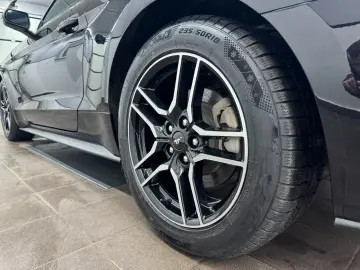 FORD Mustang 2.3 Eco Aut Fastback Sitzhz Carply Tot.W