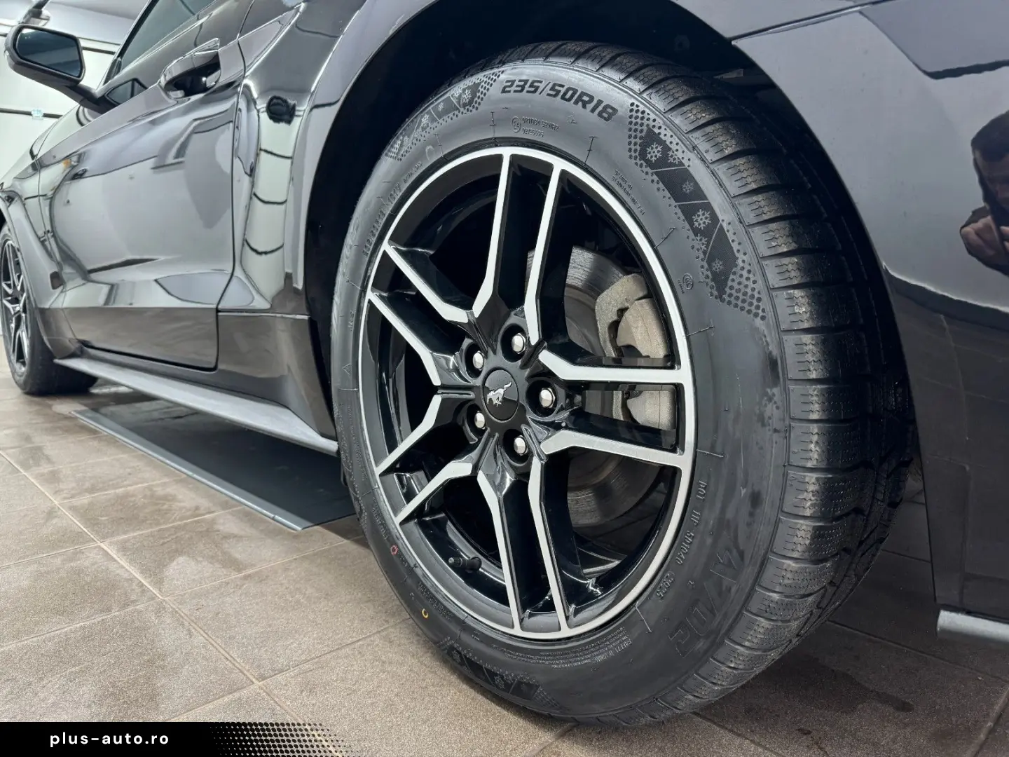 FORD Mustang 2.3 Eco Aut Fastback Sitzhz Carply Tot.W