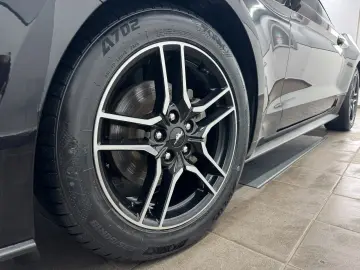 FORD Mustang 2.3 Eco Aut Fastback Sitzhz Carply Tot.W