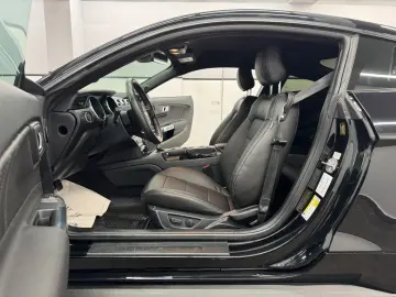 FORD Mustang 2.3 Eco Aut Fastback Sitzhz Carply Tot.W