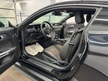 FORD Mustang 2.3 Eco Aut Fastback Sitzhz Carply Tot.W