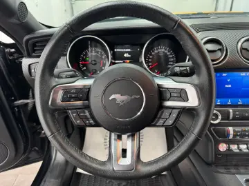 FORD Mustang 2.3 Eco Aut Fastback Sitzhz Carply Tot.W