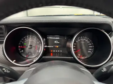 FORD Mustang 2.3 Eco Aut Fastback Sitzhz Carply Tot.W