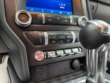 FORD Mustang 2.3 Eco Aut Fastback Sitzhz Carply Tot.W