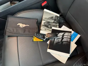 FORD Mustang 2.3 Eco Aut Fastback Sitzhz Carply Tot.W