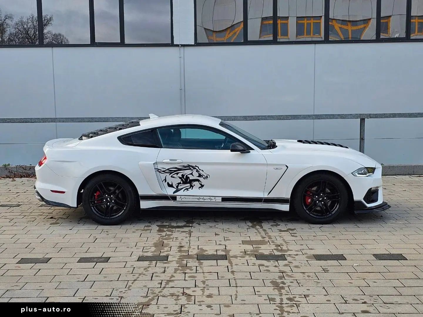 FORD Mustang 2.3 EcoBoost Schelby Bodykt