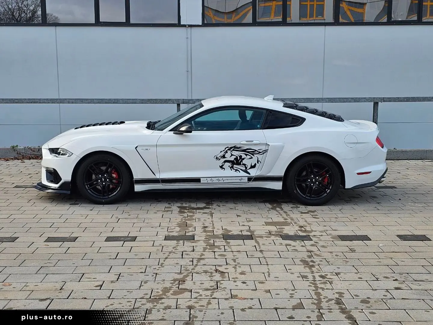 FORD Mustang 2.3 EcoBoost Schelby Bodykt