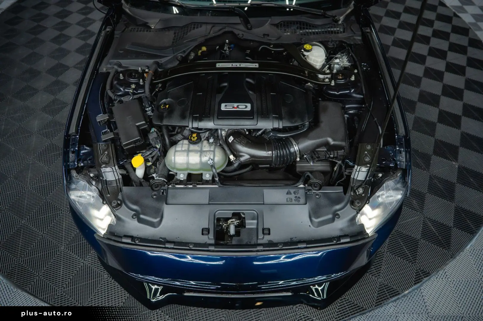 FORD Mustang Shelby GT 500 5.0 V8 PREMIUM Perf.  ACC