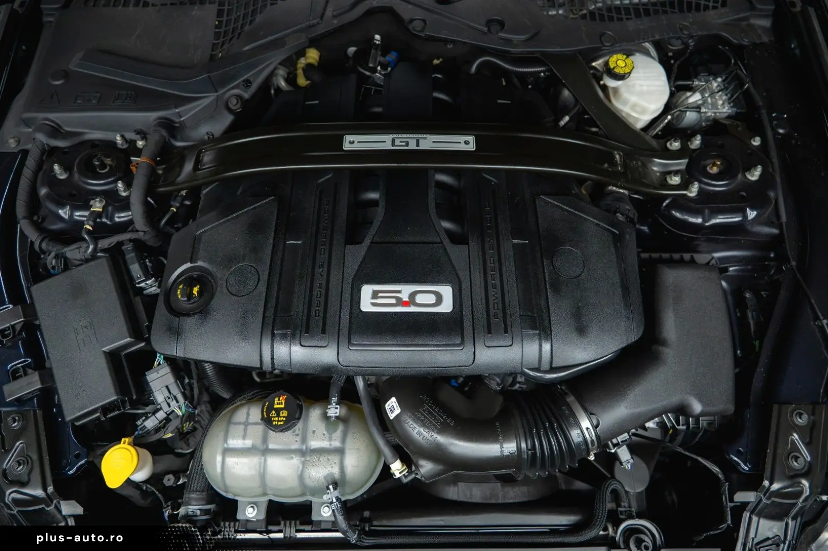 FORD Mustang Shelby GT 500 5.0 V8 PREMIUM Perf.  ACC