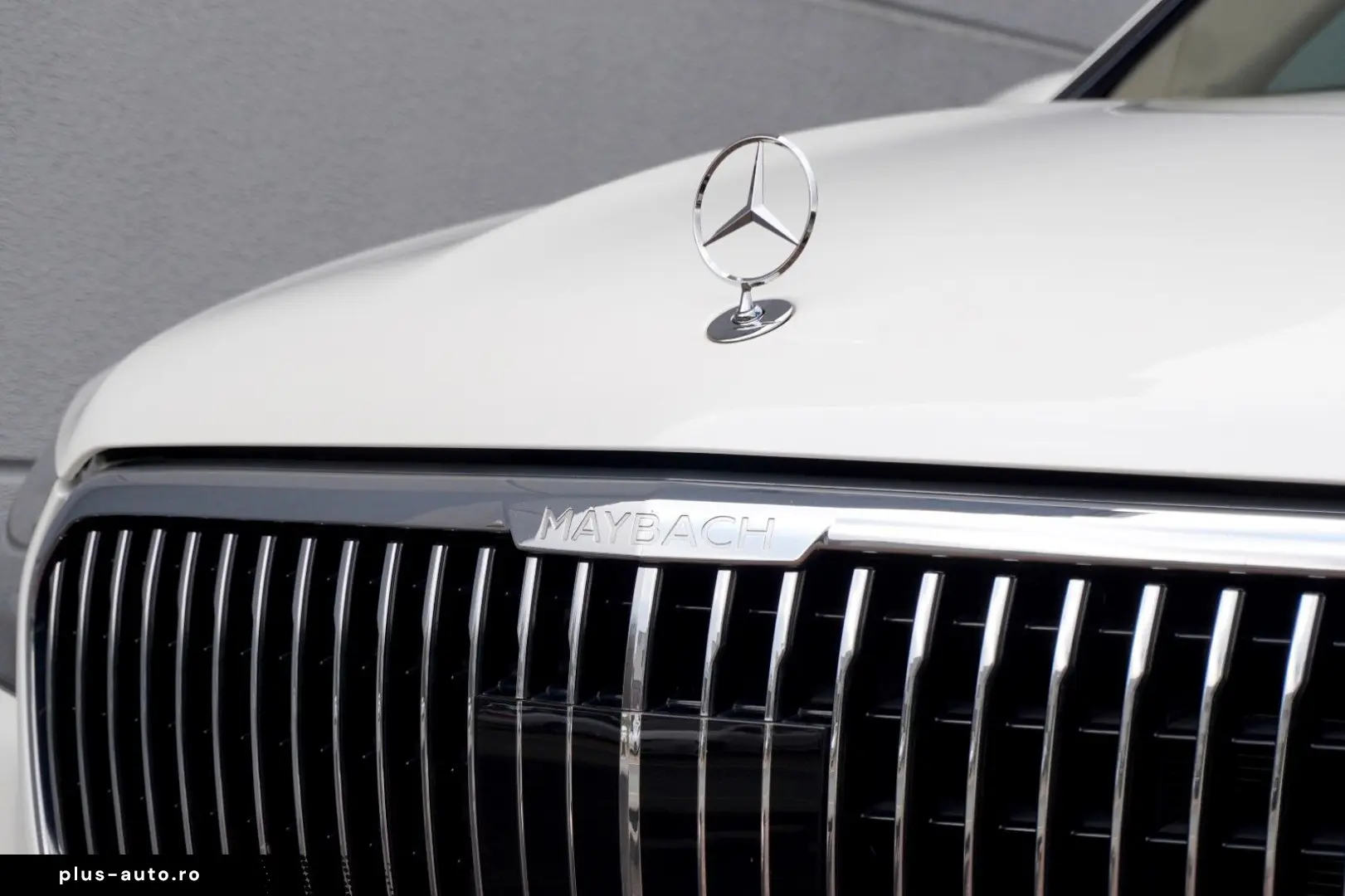 MERCEDES-BENZ Maybach GLS 600 MANUFAKTUR  FIRSTCLASS   TV 23