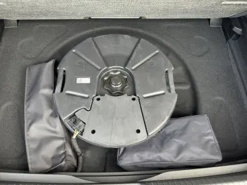 VW Golf VIII 2.0 TSI R-Line 4Motion PANODACH AHK LE