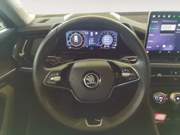 SKODA Kodiaq 2.0 TDI DSG 4x4 Selection  Pano Kamera Ma