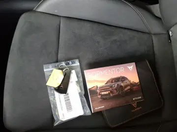 CUPRA Formentor VZ 2.0 TSI DSG 4Drive PANO AHK 5JGAR