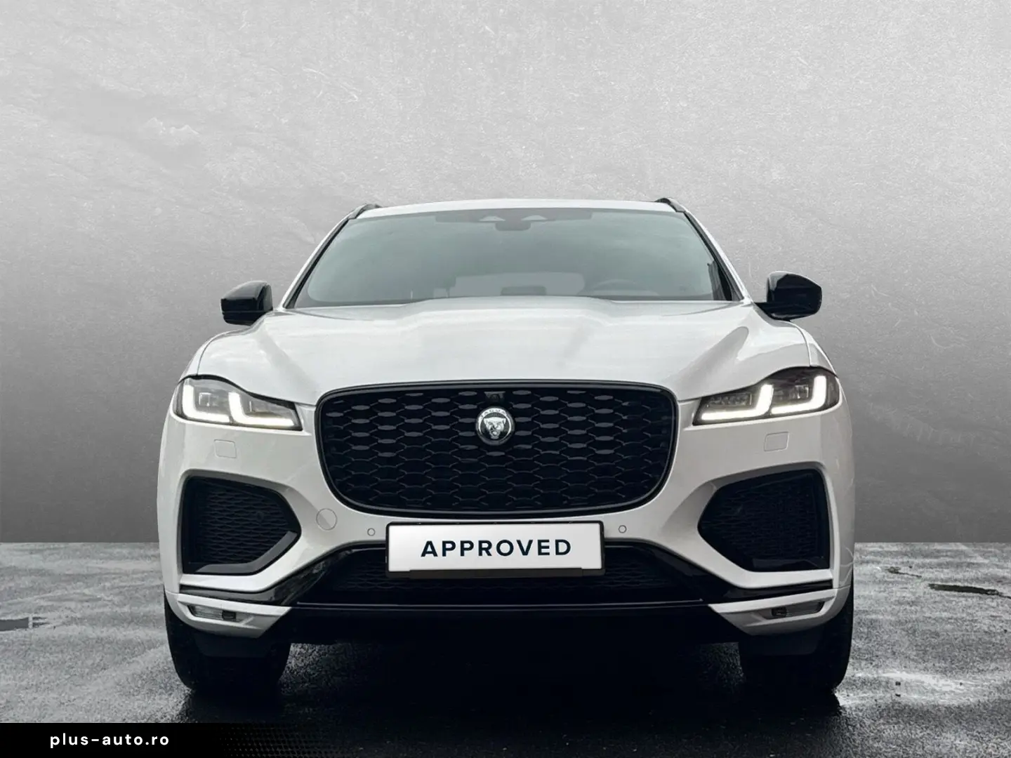 JAGUAR F-Pace D300 AWD R-Dynamic SE 90th   HUD   Winter