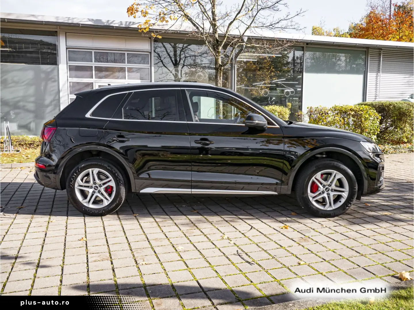 AUDI Q5 50 TFSI e quttro S tronic advanced