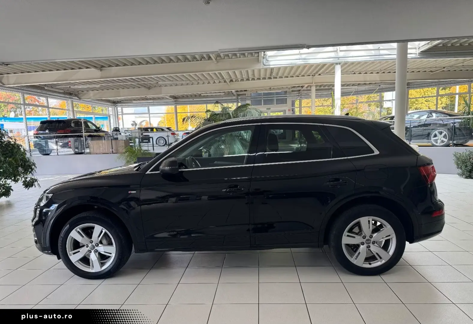 AUDI Q5 55 TFSI e Sport S-Line Alcantara Virtual LED