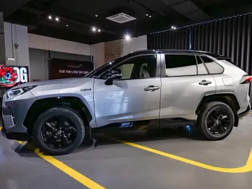 Toyota Rav4 4x4 BiTone