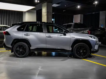 Toyota Rav4 4x4 BiTone