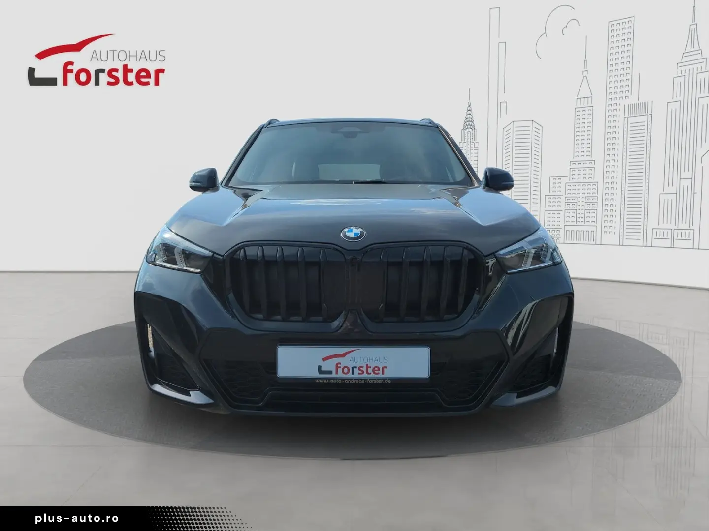 BMW X1 23d xDrive M Sport AHK ACC SHZ adapt.LED