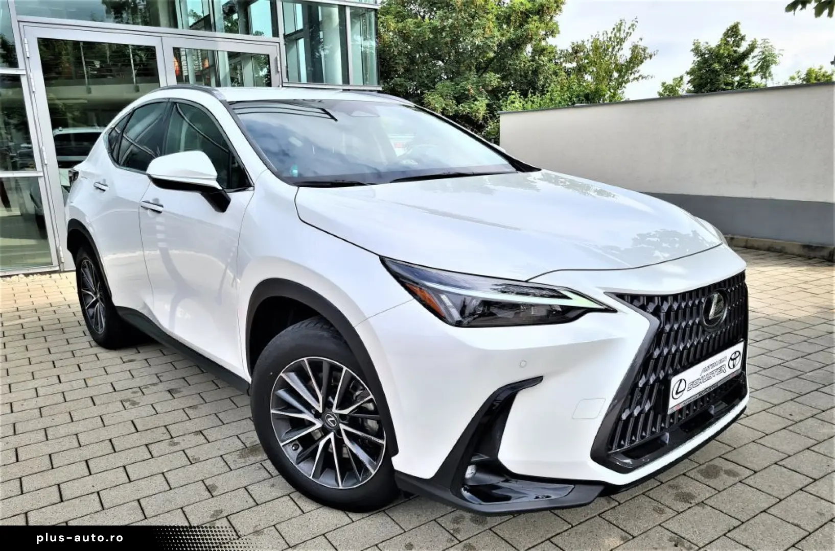 LEXUS NX 450h  E-FOUR Business Connect Paket Plug-In