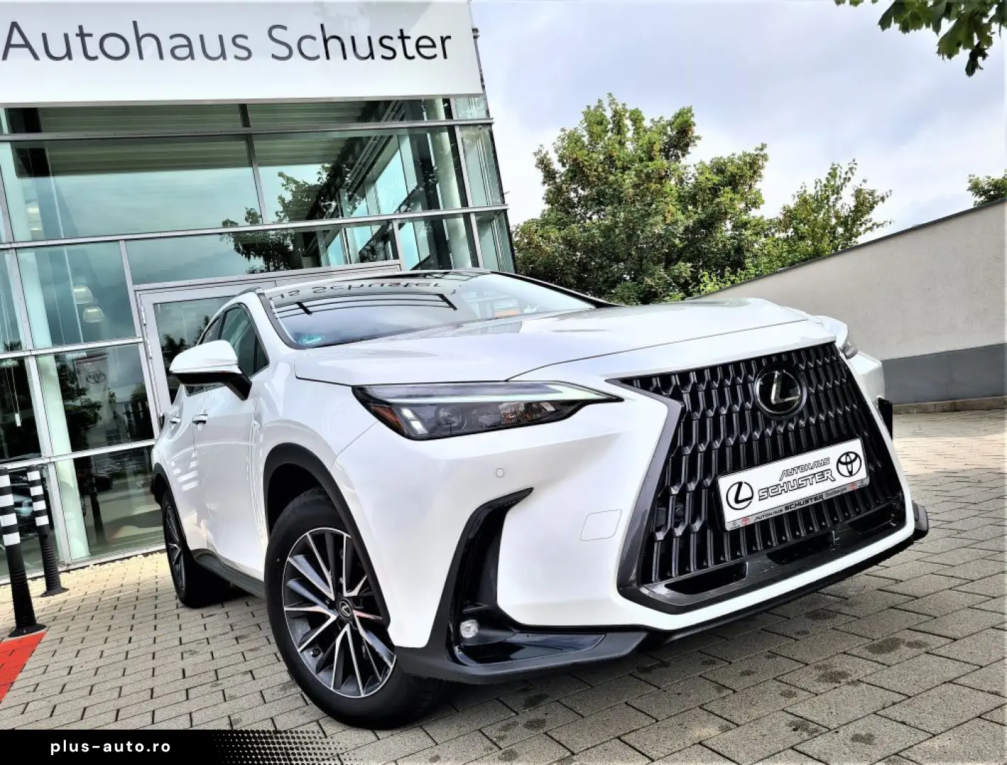 LEXUS NX 450h  E-FOUR Business Connect Paket Plug-In
