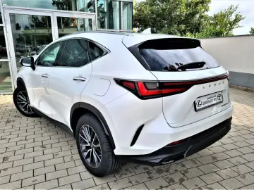 LEXUS NX 450h  E-FOUR Business Connect Paket Plug-In