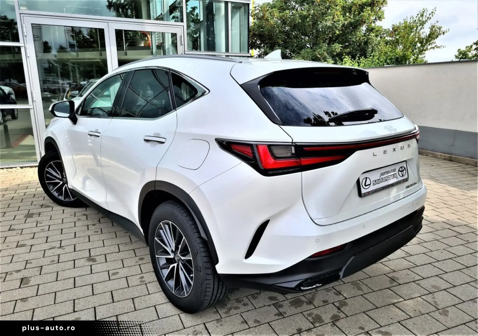 LEXUS NX 450h  E-FOUR Business Connect Paket Plug-In