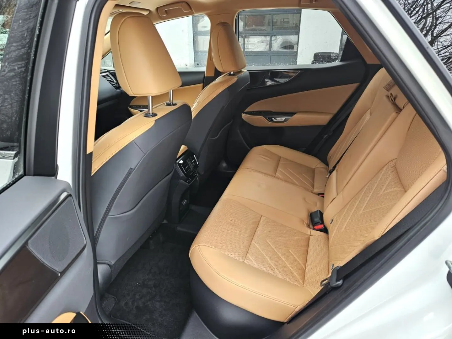 LEXUS NX 450h  E-FOUR Business Connect Paket Plug-In