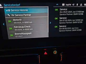 BMW X3 xDrive30e M Sport