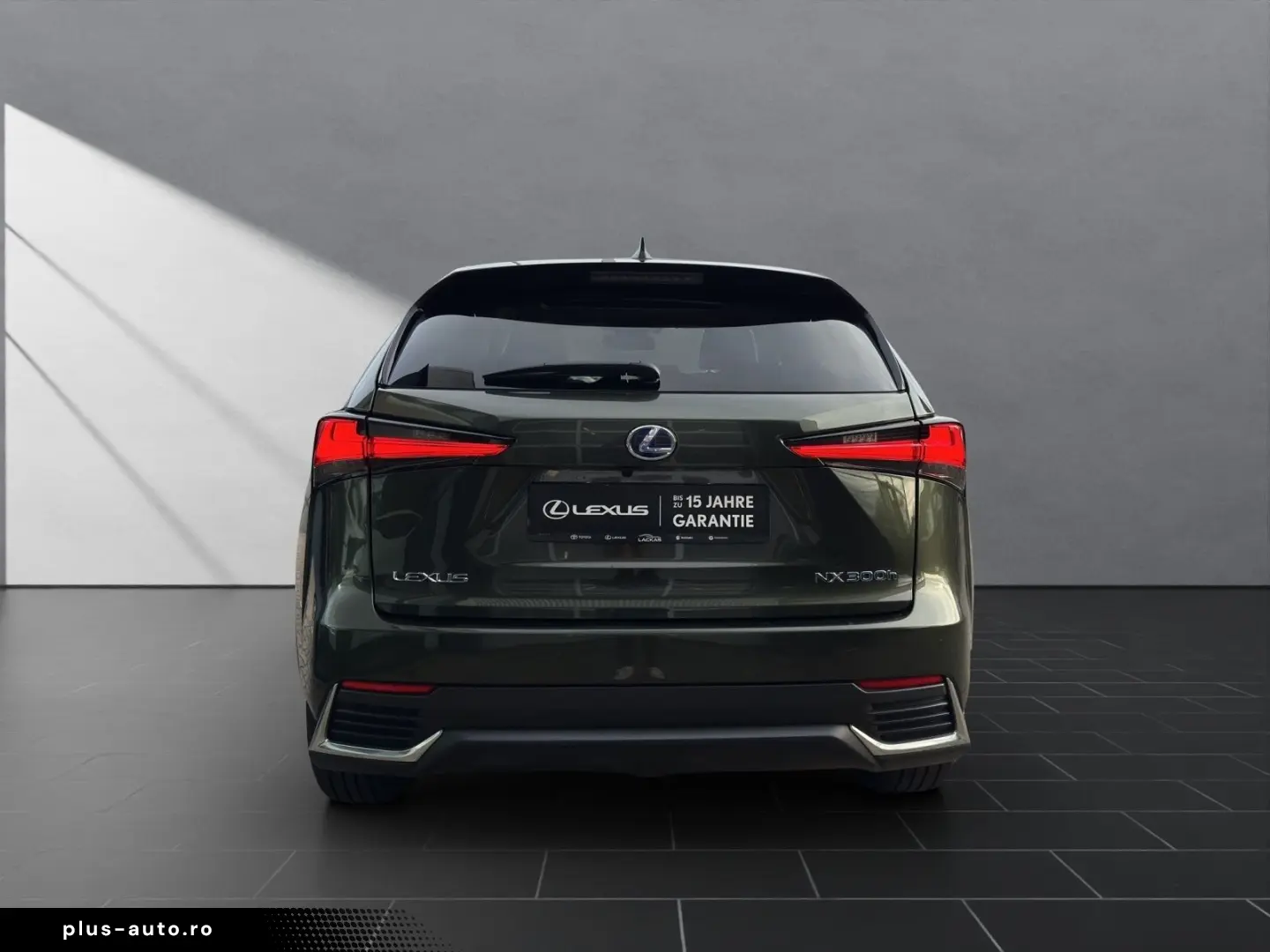 LEXUS NX 300 h EXECUTIVE 4x4 1HD  15J-GARANTIE