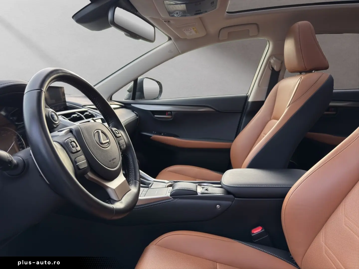 LEXUS NX 300 h EXECUTIVE 4x4 1HD  15J-GARANTIE