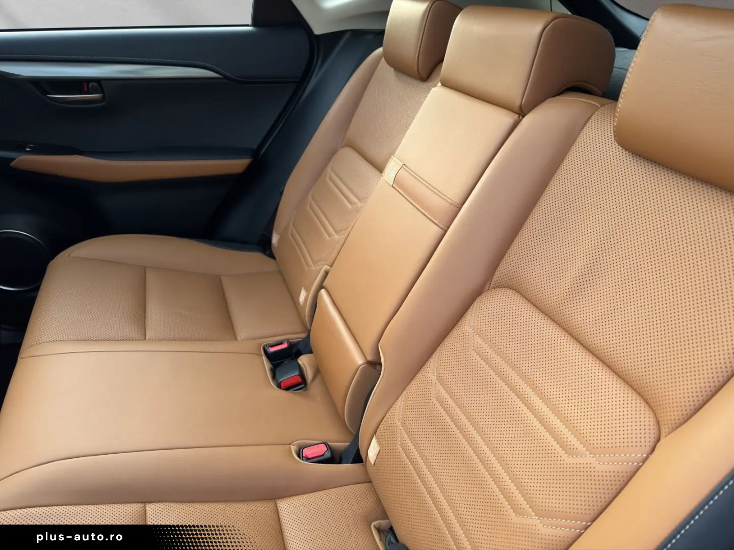 LEXUS NX 300 h EXECUTIVE 4x4 1HD  15J-GARANTIE