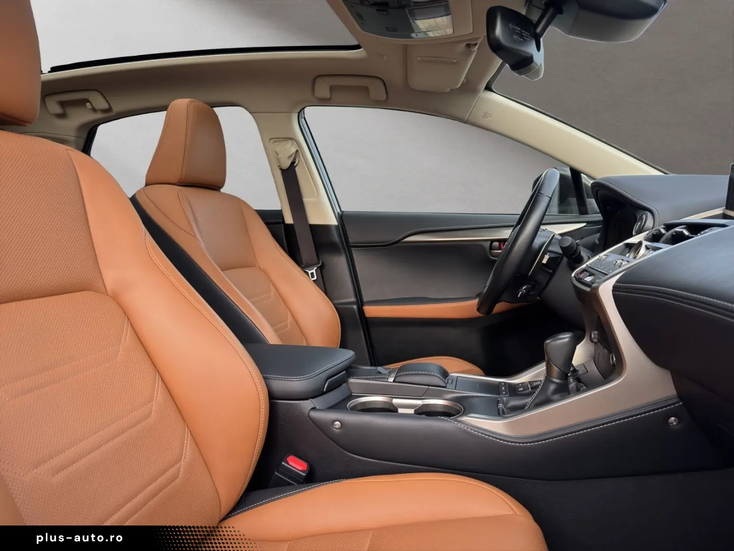 LEXUS NX 300 h EXECUTIVE 4x4 1HD  15J-GARANTIE