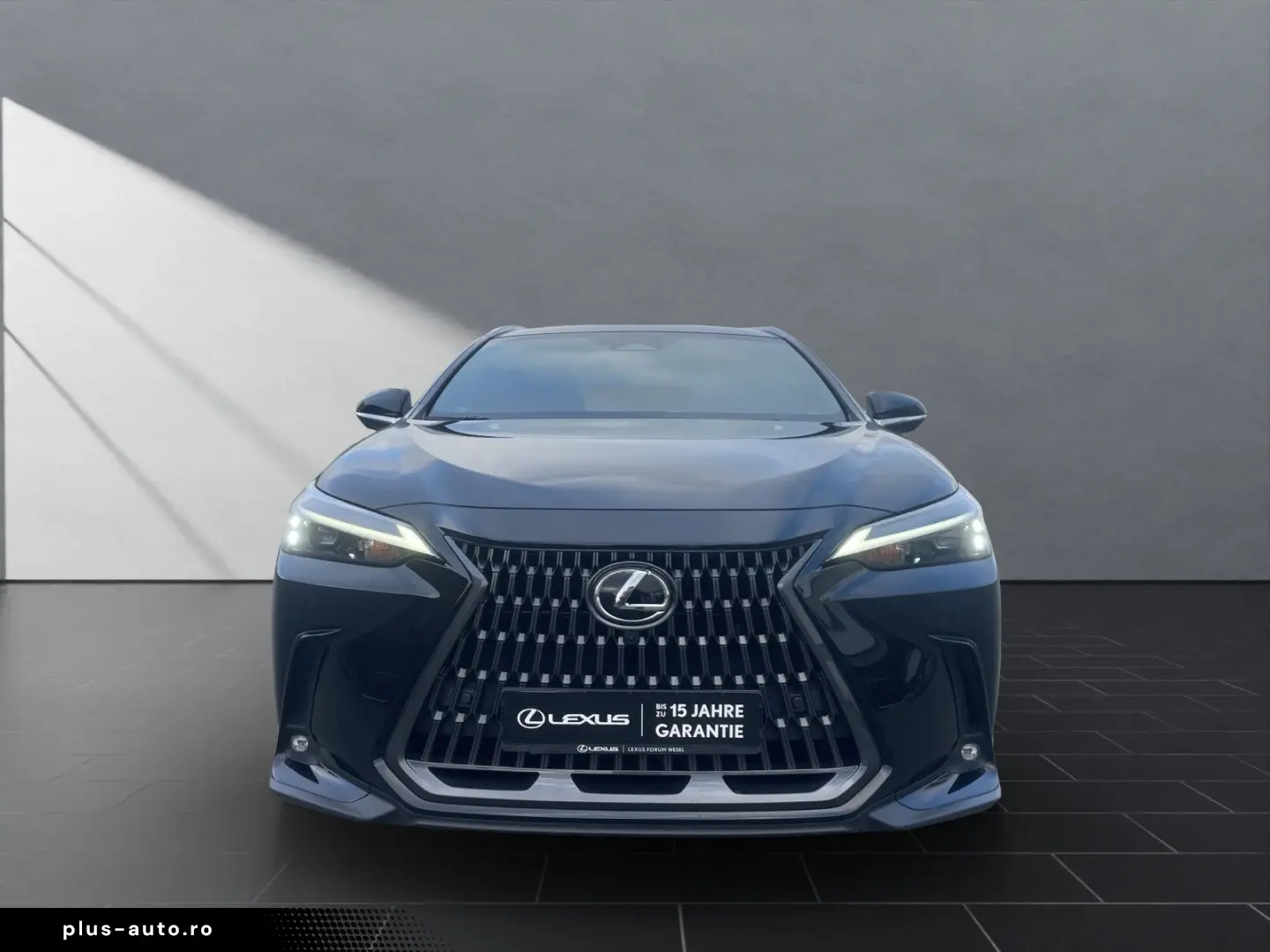 LEXUS NX 450h 450h  Business 360  AHK Sitz belüftung