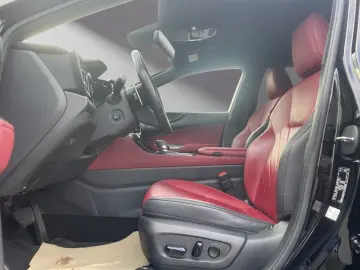 LEXUS NX 450h 450h  Business 360  AHK Sitz belüftung