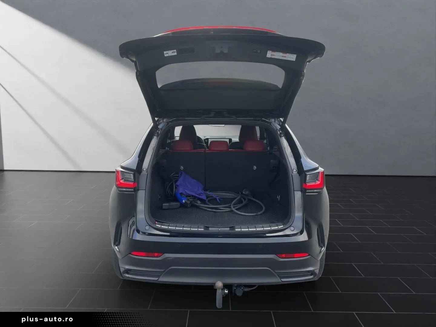 LEXUS NX 450h 450h  Business 360  AHK Sitz belüftung