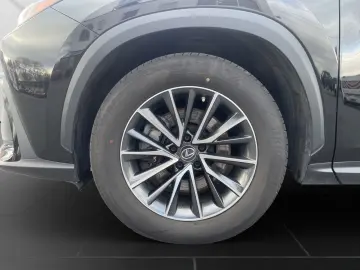 LEXUS NX 450h 450h  Business 360  AHK Sitz belüftung