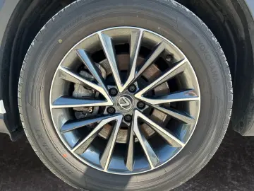 LEXUS NX 450h  E-FOUR Executive Line  AHK Leder 360Gra