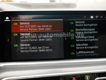 BMW X6 xDr 30d M-Sport Individual 2-Achs Laser Pano