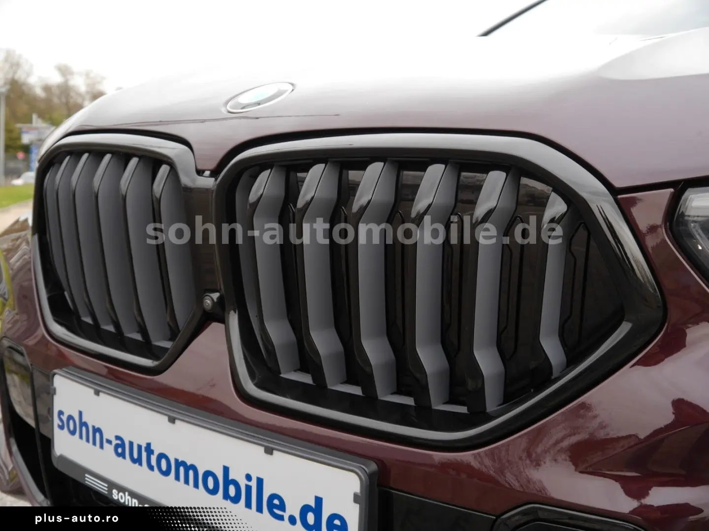 BMW X6 xDr 30d M-Sport Individual 2-Achs Laser Pano