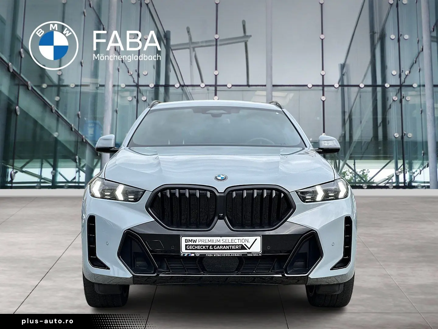 BMW X6 xDrive30d M Sport Sportpaket Gestiksteuerung