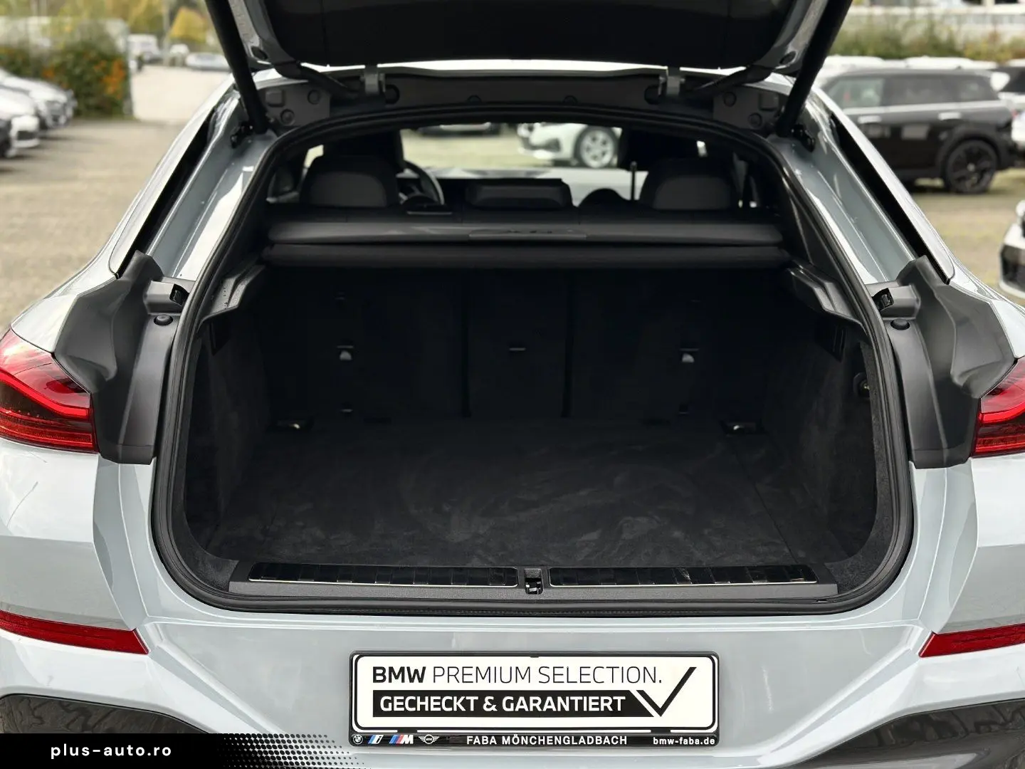 BMW X6 xDrive30d M Sport Sportpaket Gestiksteuerung