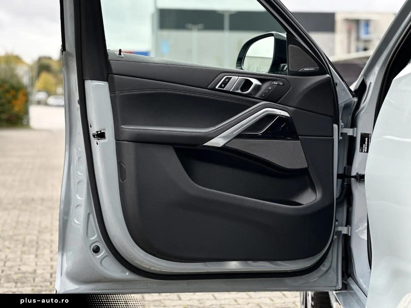 BMW X6 xDrive30d M Sport Sportpaket Gestiksteuerung