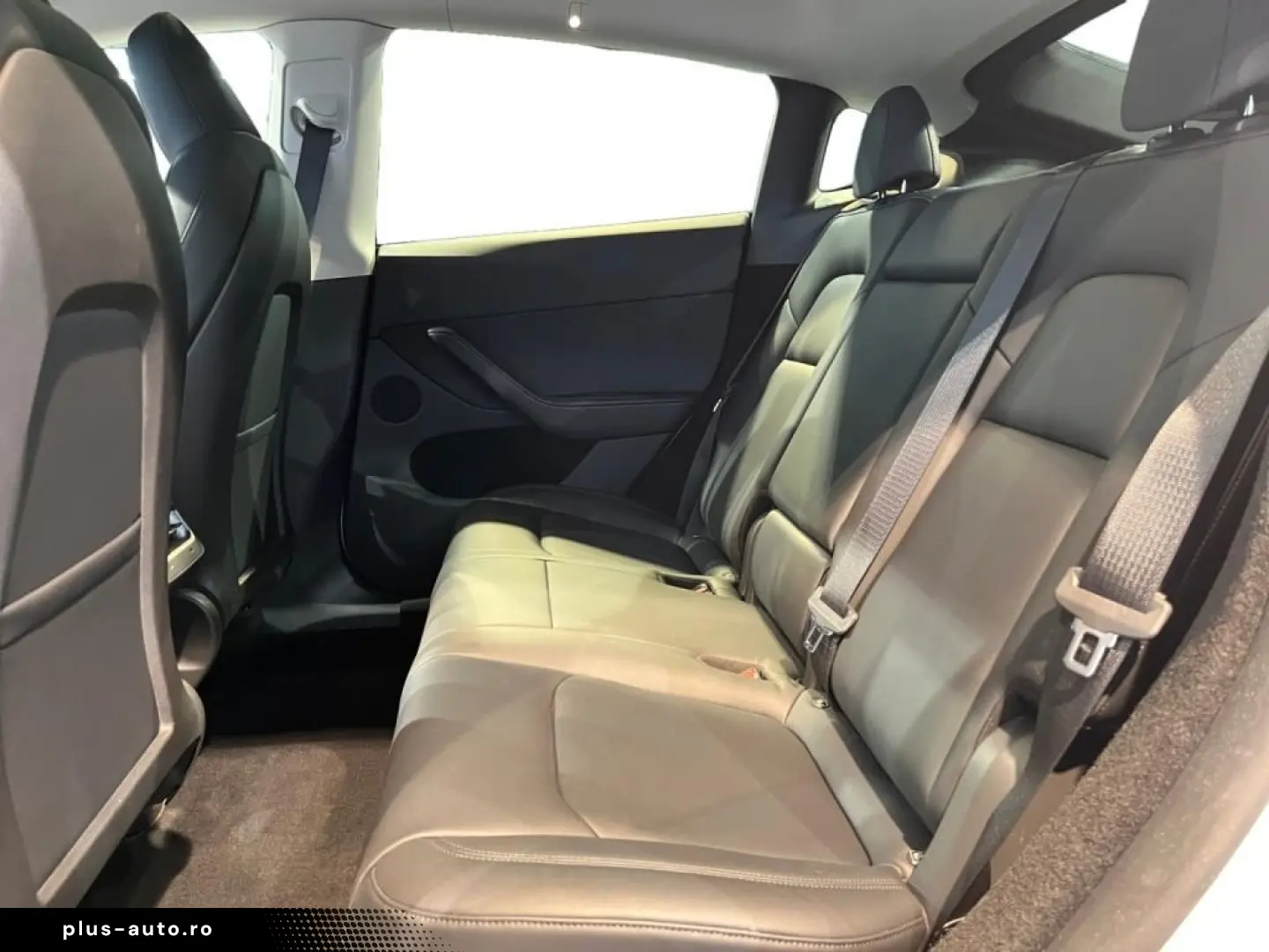 TESLA Model Y Performance Dual AWD Fahrassist Pano Cam