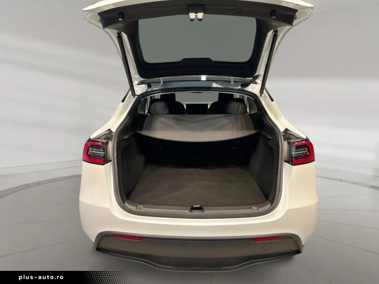 TESLA Model Y Performance Dual AWD Fahrassist Pano Cam