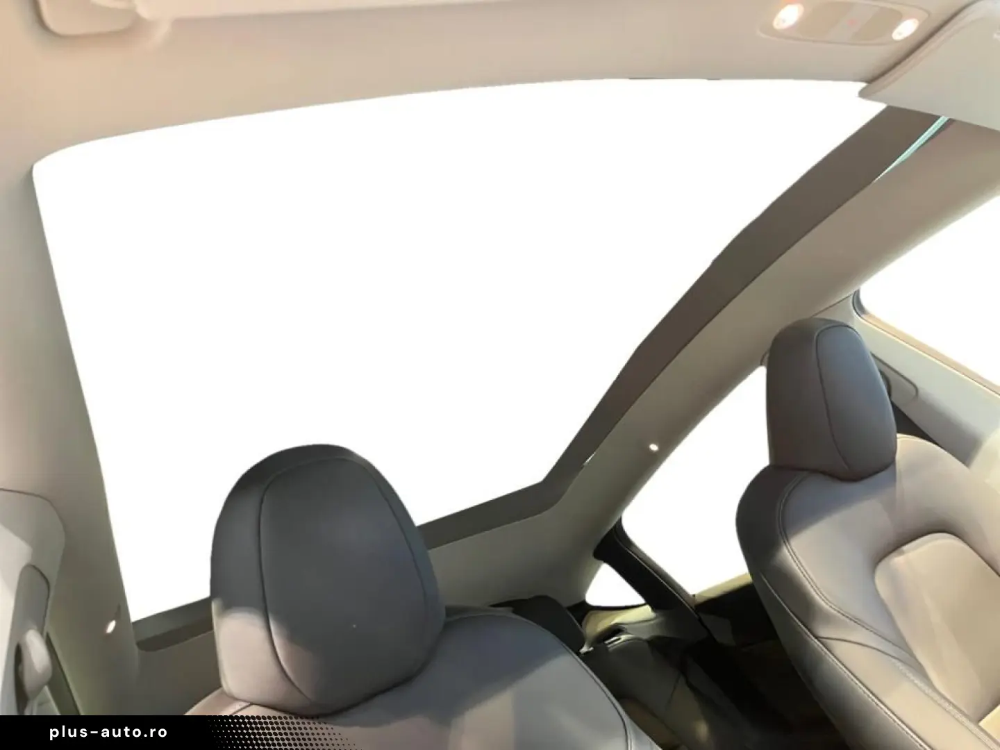 TESLA Model Y Performance Dual AWD Fahrassist Pano Cam