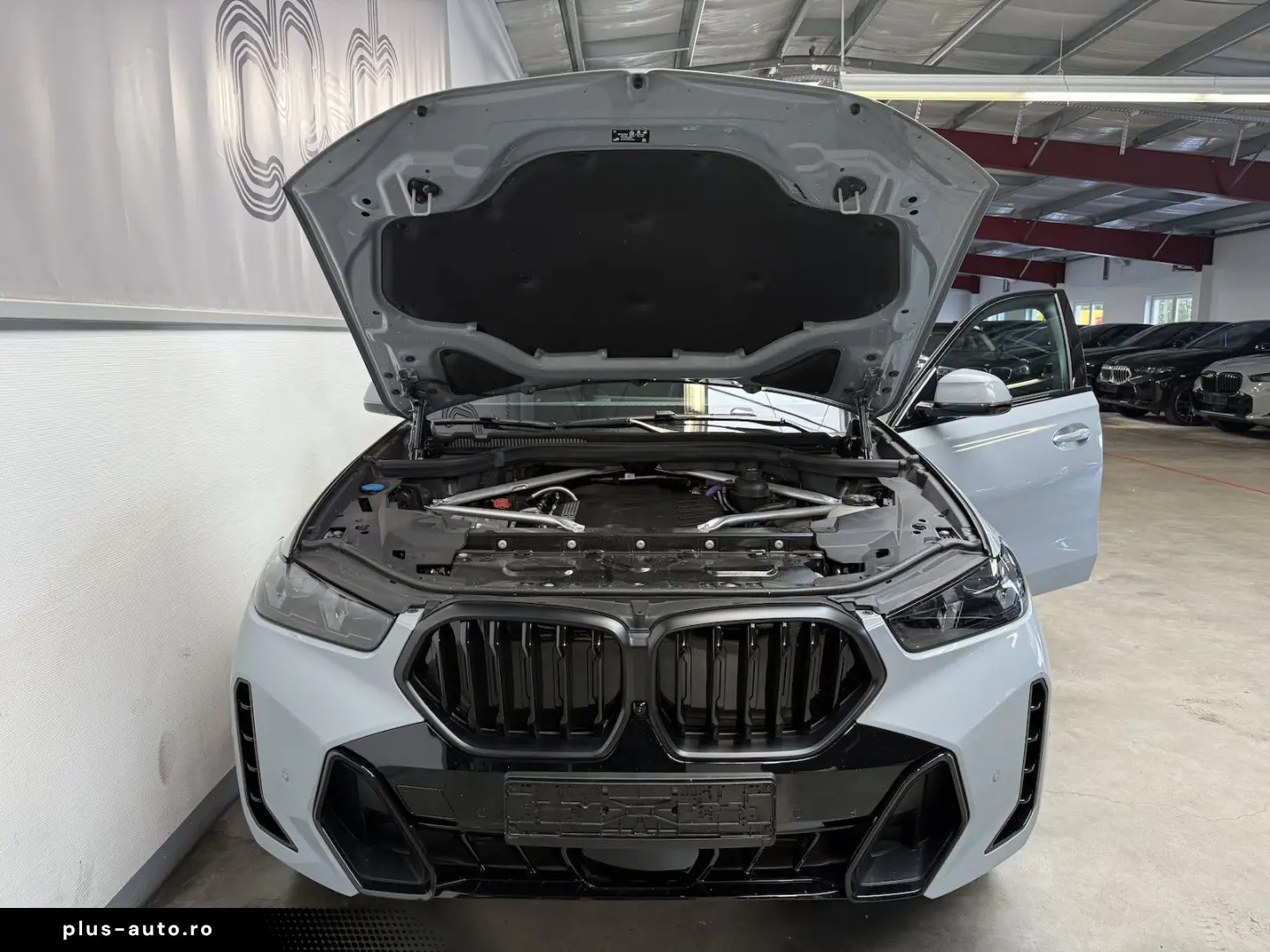 BMW X6 30 d xDr. M Sport PRO M-Sitz Soft-Close PANO