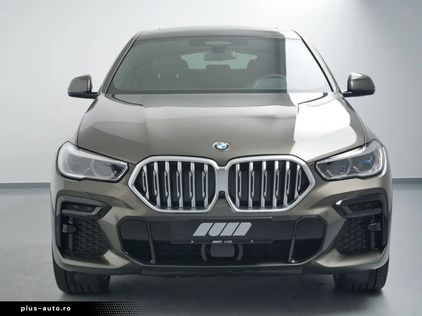 BMW X6 xDrive 40d (M-Sport Navi AHK Pano HUD HK 360)