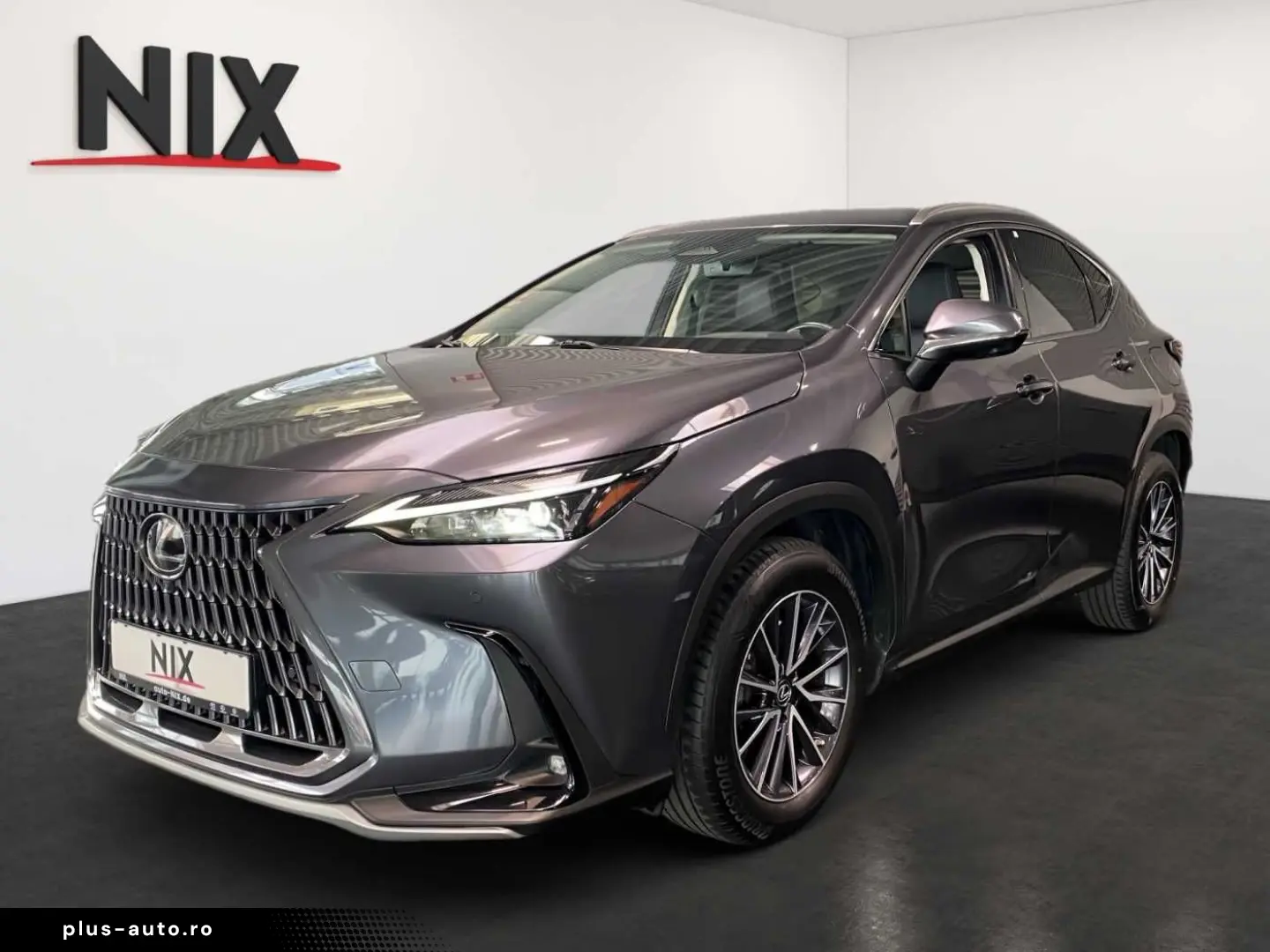 LEXUS NX 450h  E-FOUR Business