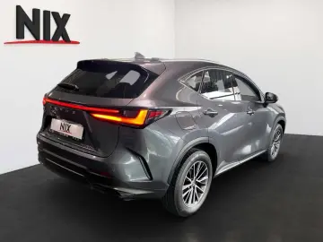 LEXUS NX 450h  E-FOUR Business